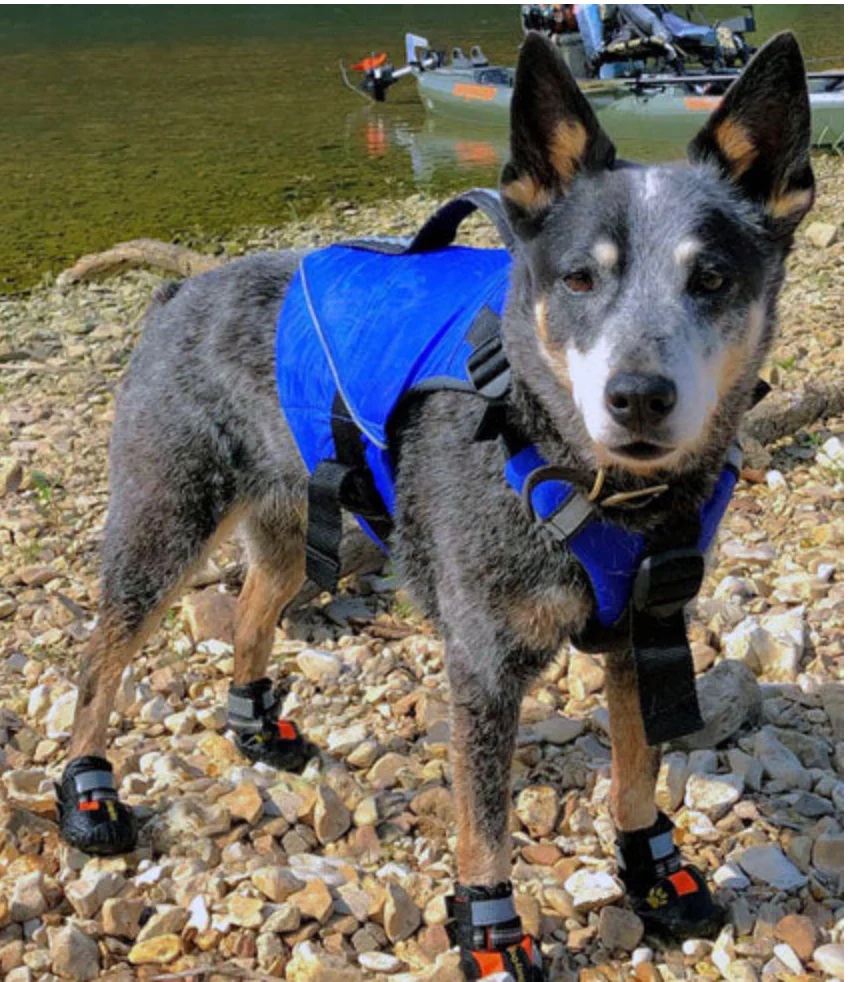 Pup Float - Life Jacket for Dogs - Image 2