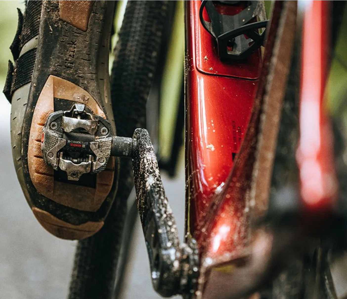 X-Track Race Carbon - Image 3