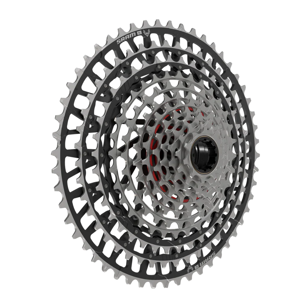XS-1299 XX XL Eagle T-Type Cassette - Image 2